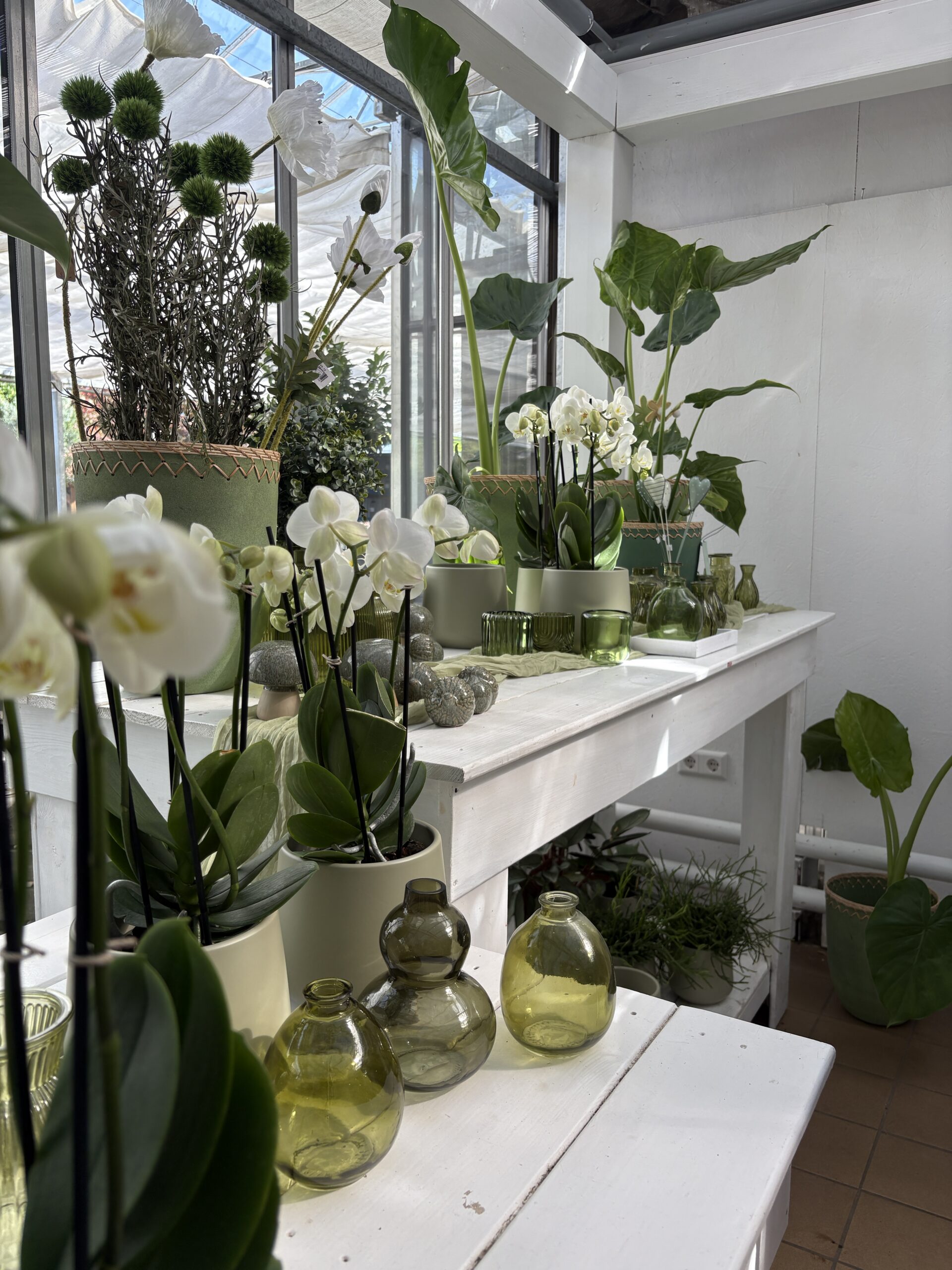 Blumen in Vasen
